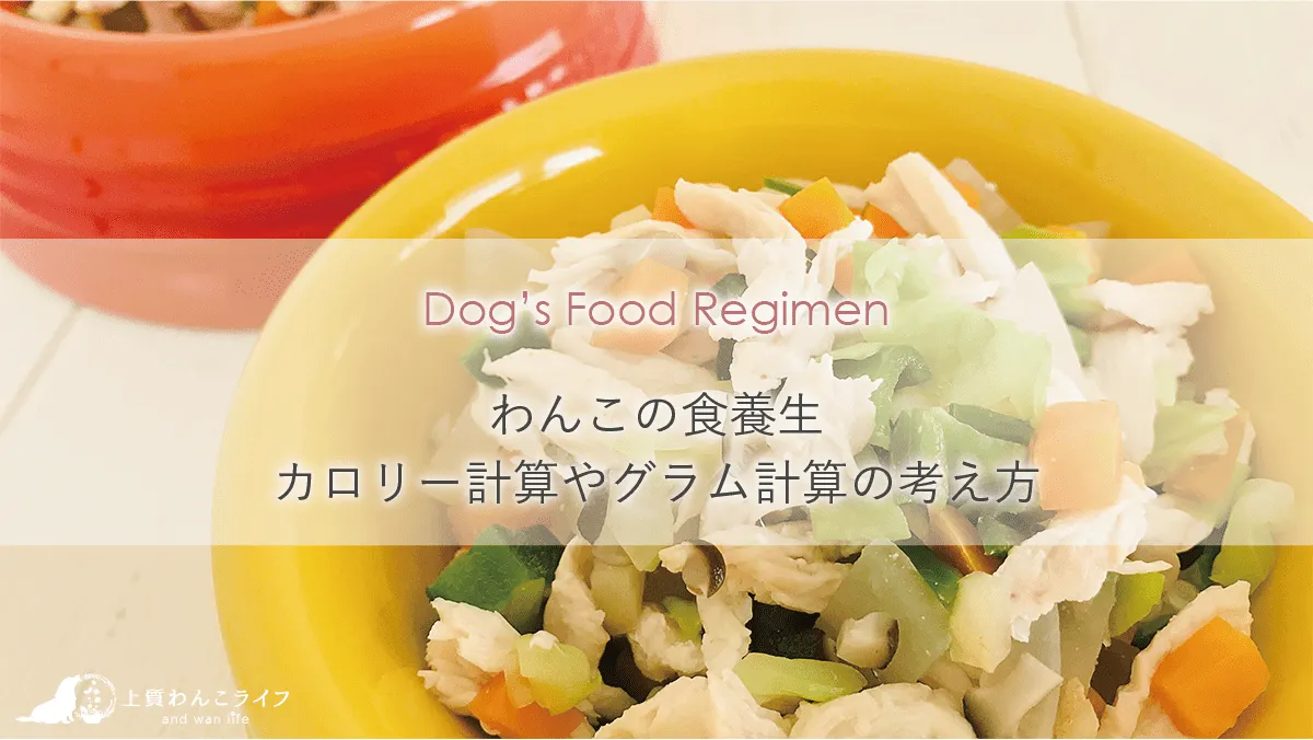 わんごはん、カロリー計算グラム計算の考え方