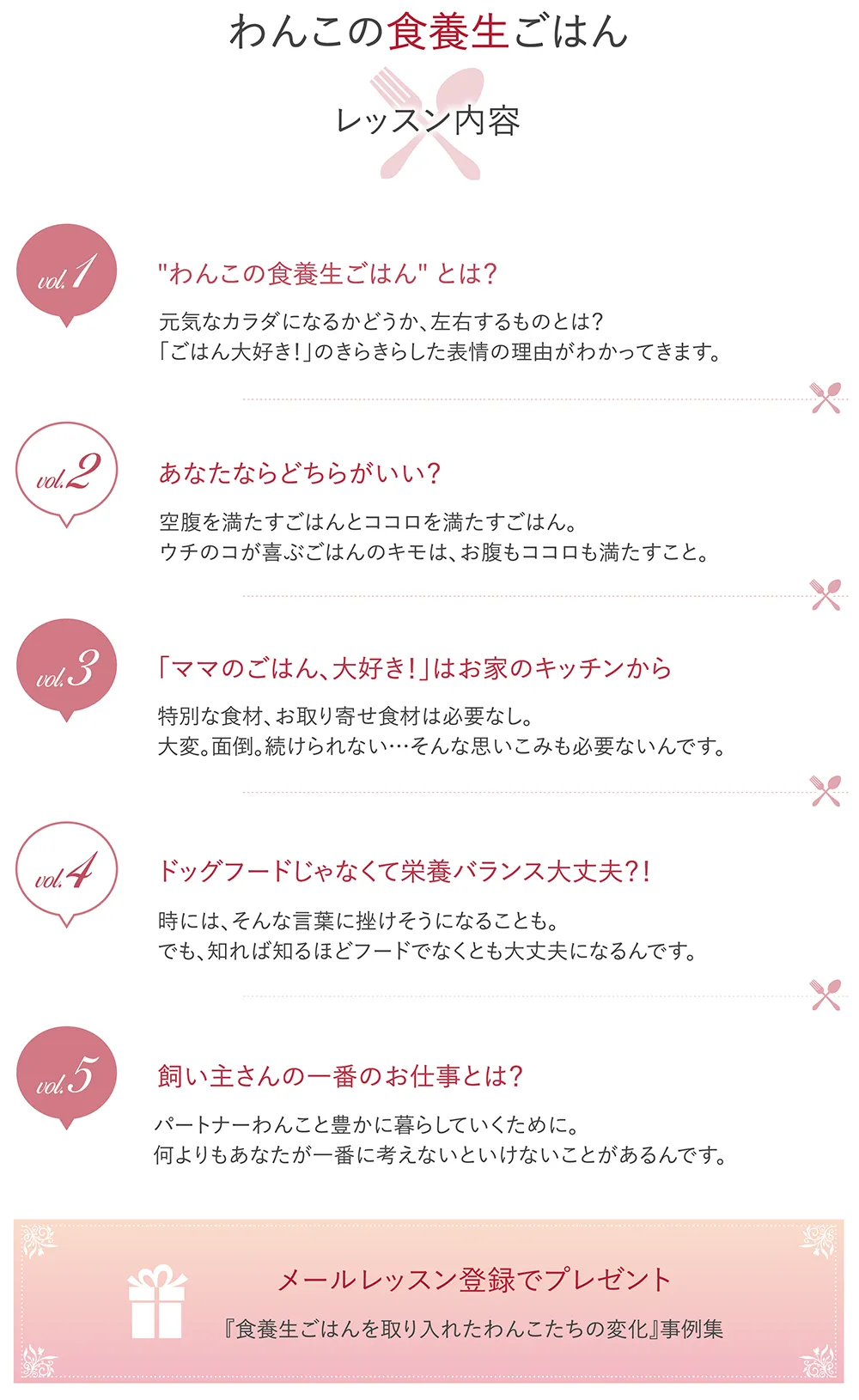 わんこの食養生ごはんメールレッスン・レッスン内容