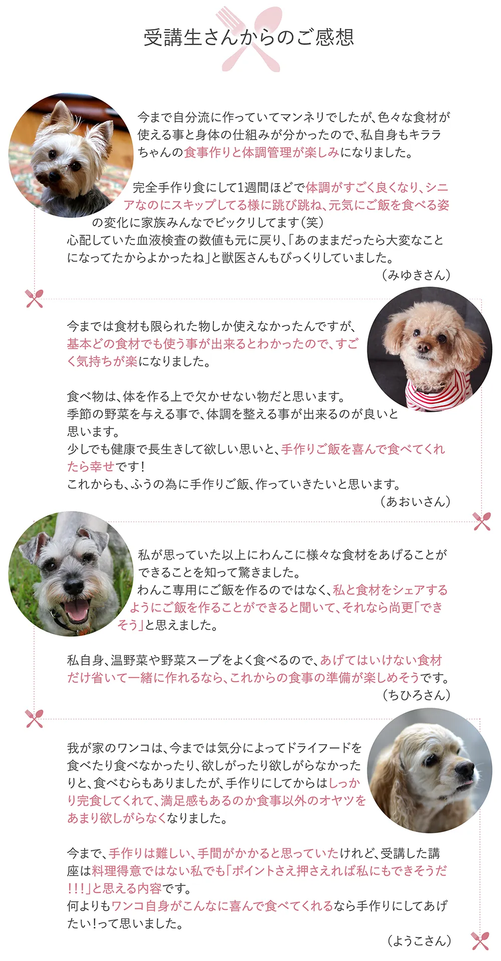 わんこの食養生ごはんメールレッスン・受講生の感想