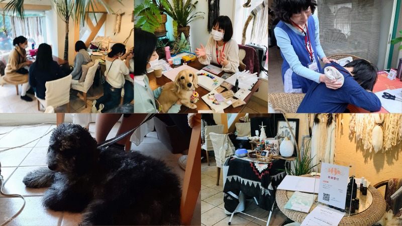 しっぽ祭2020 レポート写真