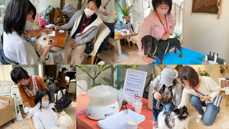 しっぽ祭2021 レポート写真