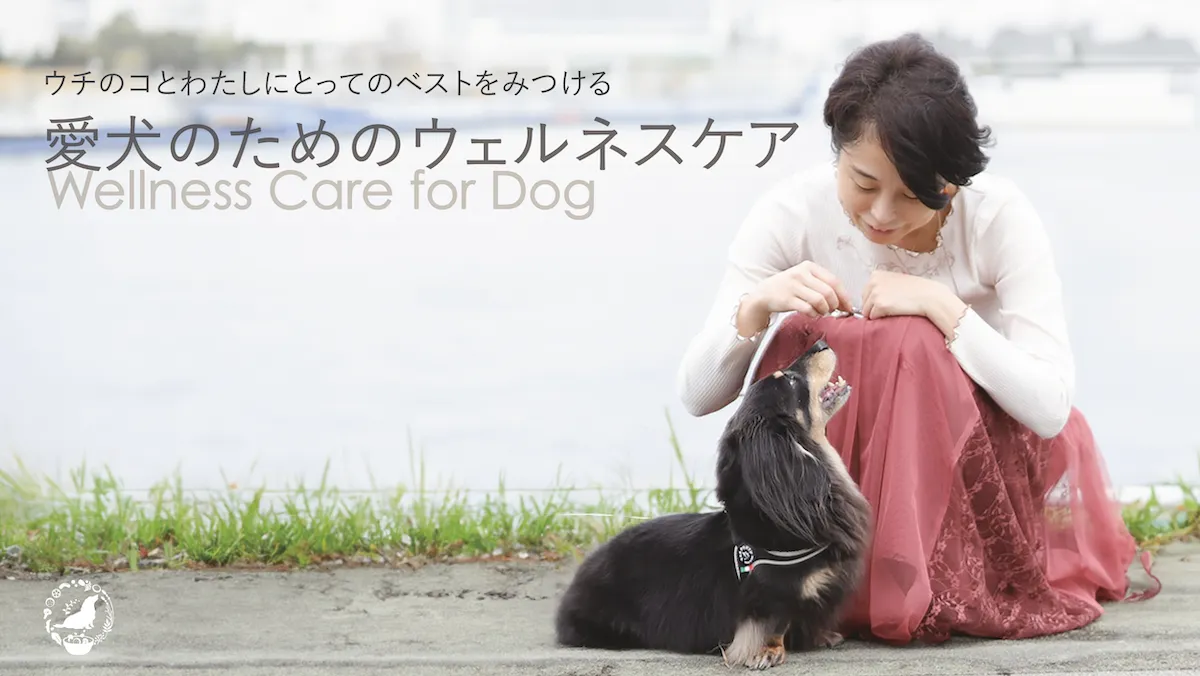 愛犬のためのウェルネスケア